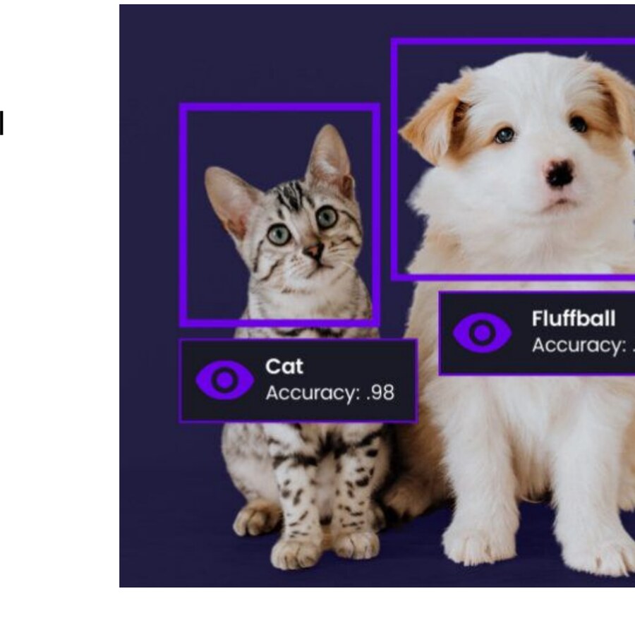 AI predicting Cat 0.98 and Fluffball 0.65