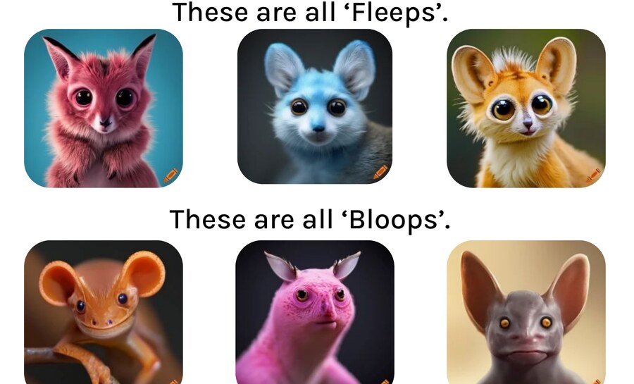 Top row: three Fleeps. Bottom row: three Bloops.